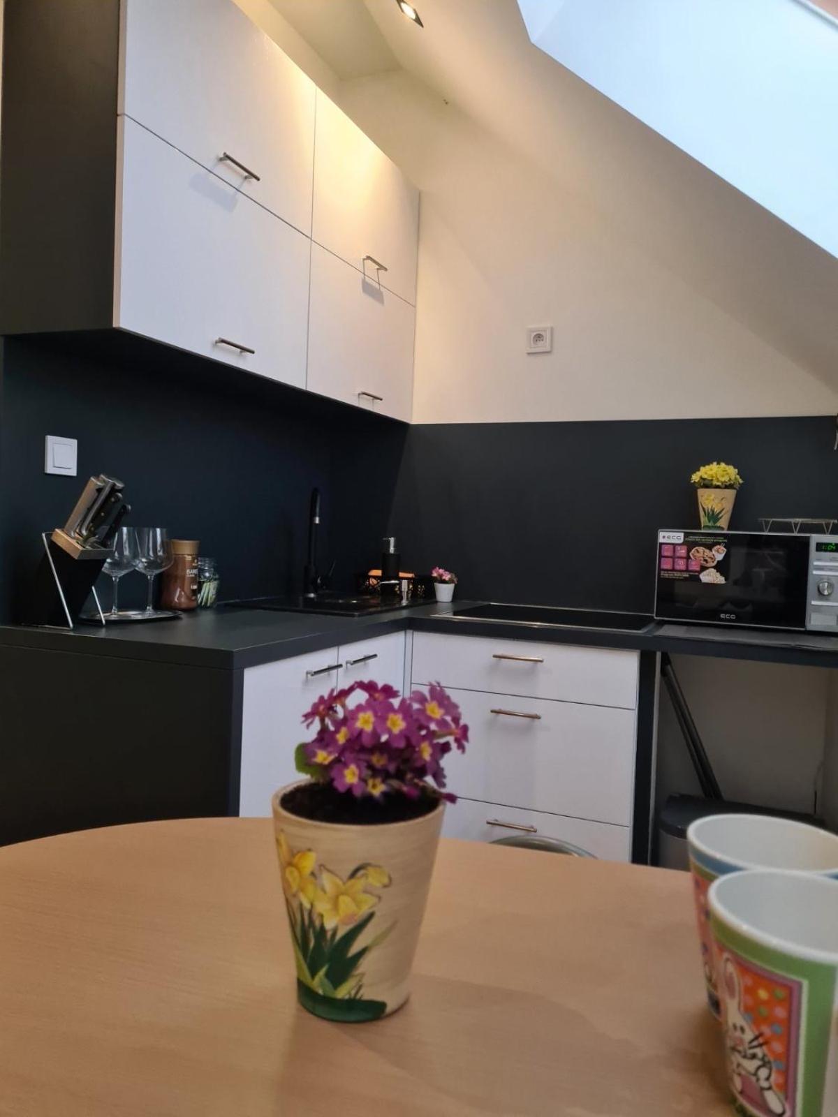 Apartment Zvonarska With Parking โกชิเซ ภายนอก รูปภาพ